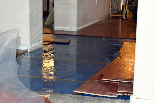 Professional Water Extraction technician working in Percy, IL